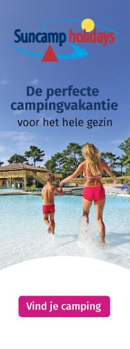 Beschrijving van de afbeelding